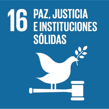 S-SDG-Icons-01-16